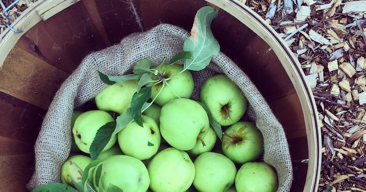 How much is a "bushel" of apples anyway? Collecting the Moments