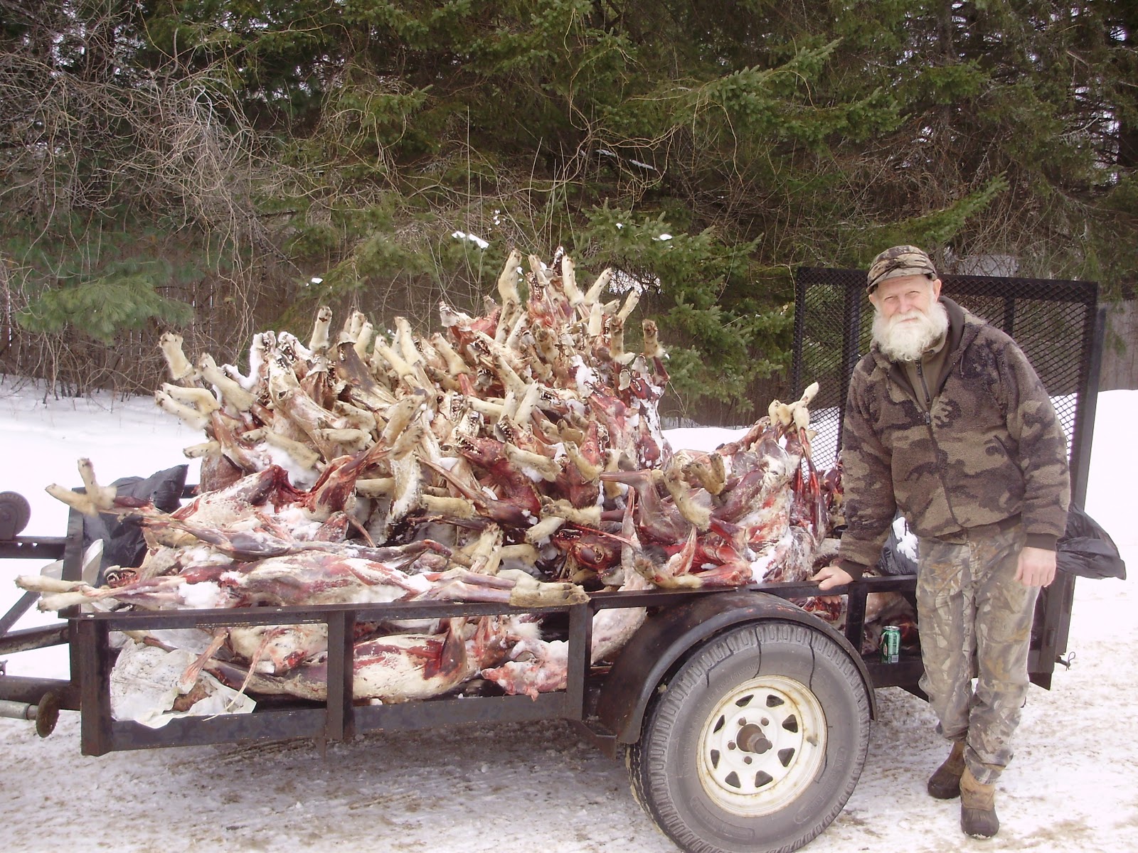 Coyote Hunting Wisconsin