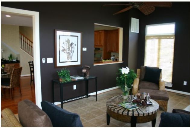 C.B.I.D. HOME DECOR and DESIGN MANLY COLOR ADVICE