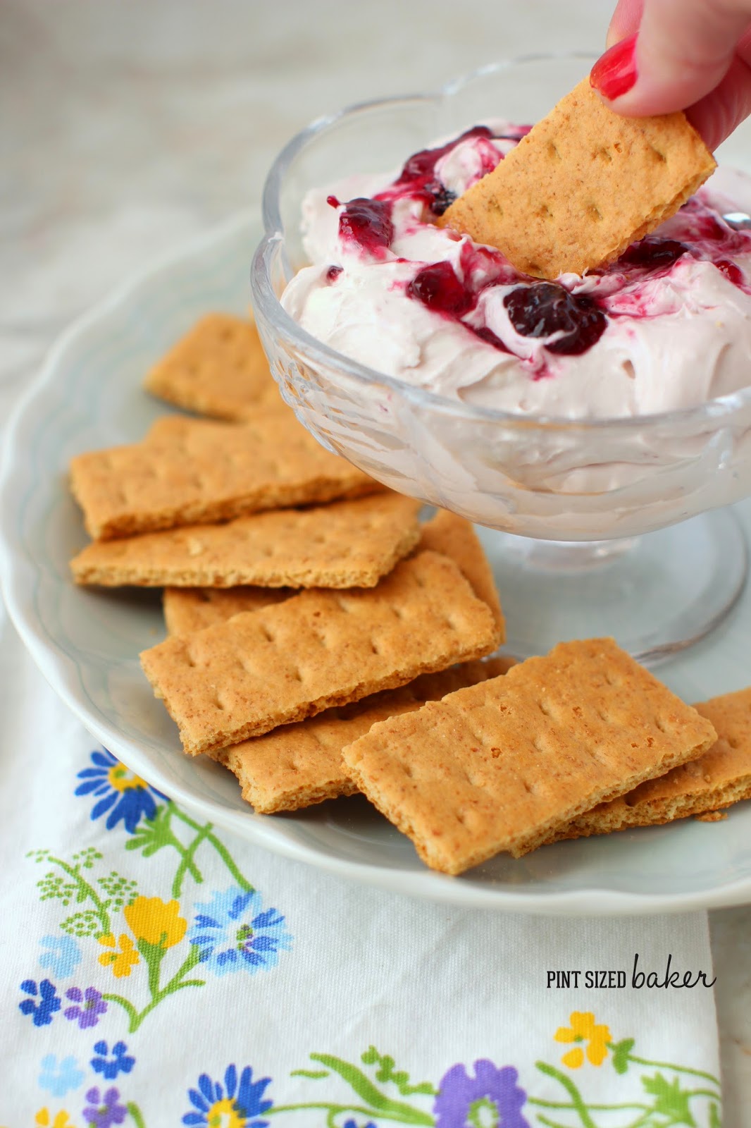 The wonderful flavor of Montana's huckleberries comes to your kitchen in this Huckleberry Jam Cheesecake Dip. It's a tasty party treat!