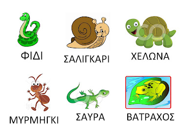 Image result for ΜΑΘΑΙΝΩ ΤΑ ΖΩΑ