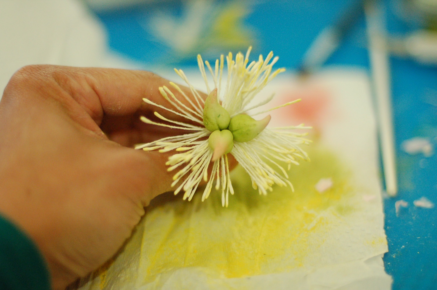 Cooking In Melbourne Sugar flowers Project ( Peony, Hydrangea