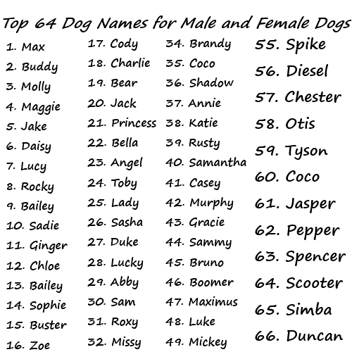 Best Indian Names Of Dogs Best Indian Names Of Dogs