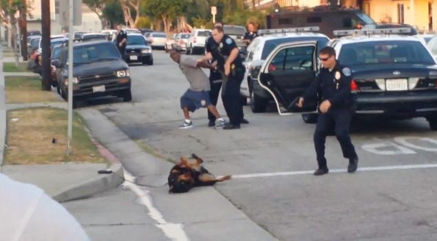 Soldier Shoots Dog Graphic Video Soldier Shoots Dog Graphic Video