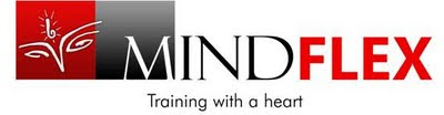 Mindflex- The Learning Orgainzation