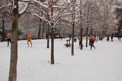 Madrid Retiro 09.01.2009 Copyright Sophie von Rheden