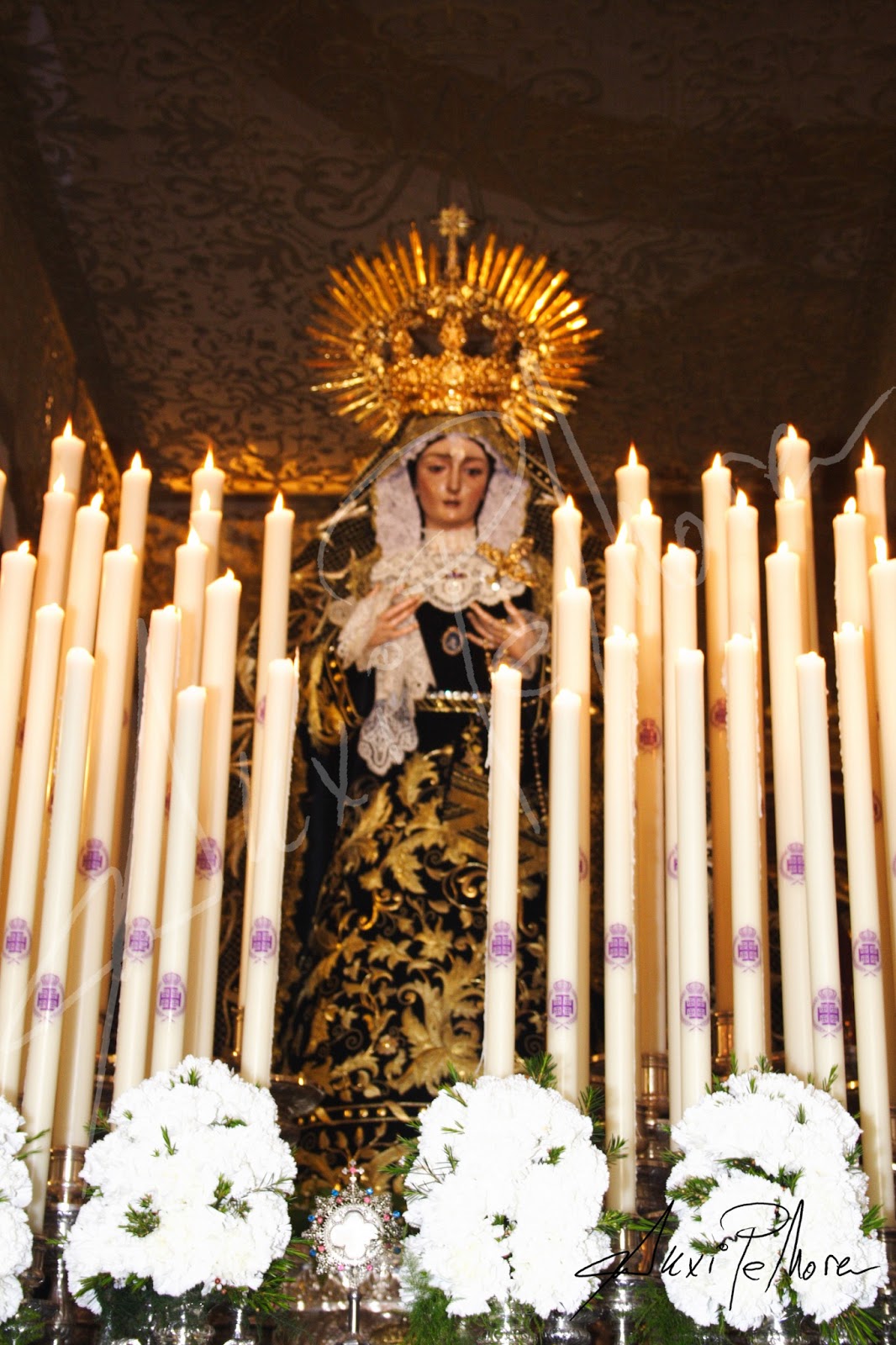 Mi cámara cofrade Viernes Santo de Utrera 2013
