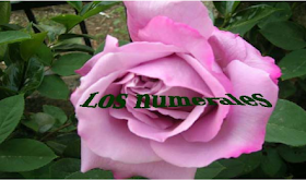 http://cplosangeles.juntaextremadura.net/web/edilim/tercer_ciclo/lengua/los_determinantes/los_numerales/los_numerales.html