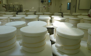 Quesería de parmigiano reggiano 4 Madonne dell'Emilia Dairy. Quesería de parmigiano reggiano 4 Madonne dell'Emilia Dairy.