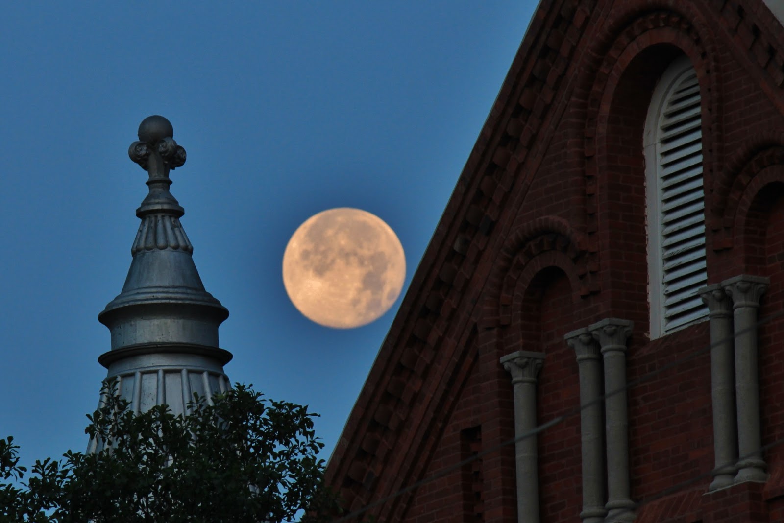 Where's Trevor Rise of the Super Moon Augusta,