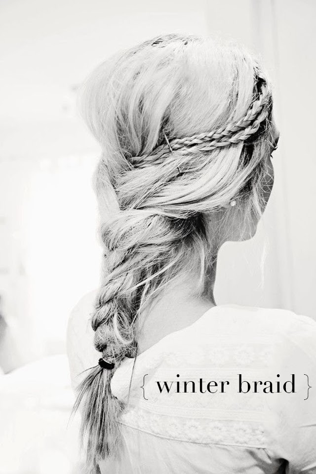 Dallas Shaw Blog:  winter braid 