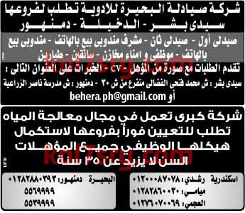 وظائف خالية اليوم , وظائف خالية فى جريدة الوسيط الاسكندرية اليوم الاثنين 24-8-2015 وظائف خالية اليوم , وظائف خالية فى جريدة الوسيط الاسكندرية اليوم الاثنين 24-8-2015