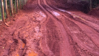 "Misericórdia", se espanta uma moradora de Manoel Ribas ao transitar por estrada rural