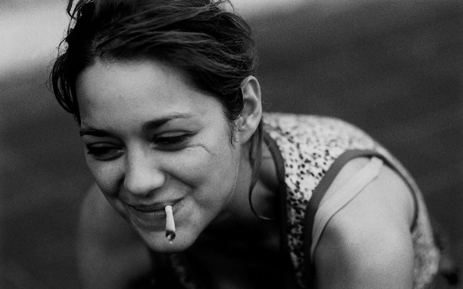 Marion Cotillard HD Wallpapers