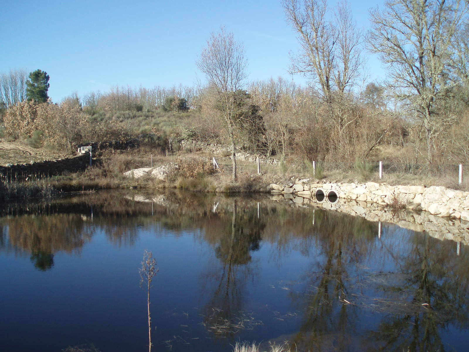 Presa de l Turril