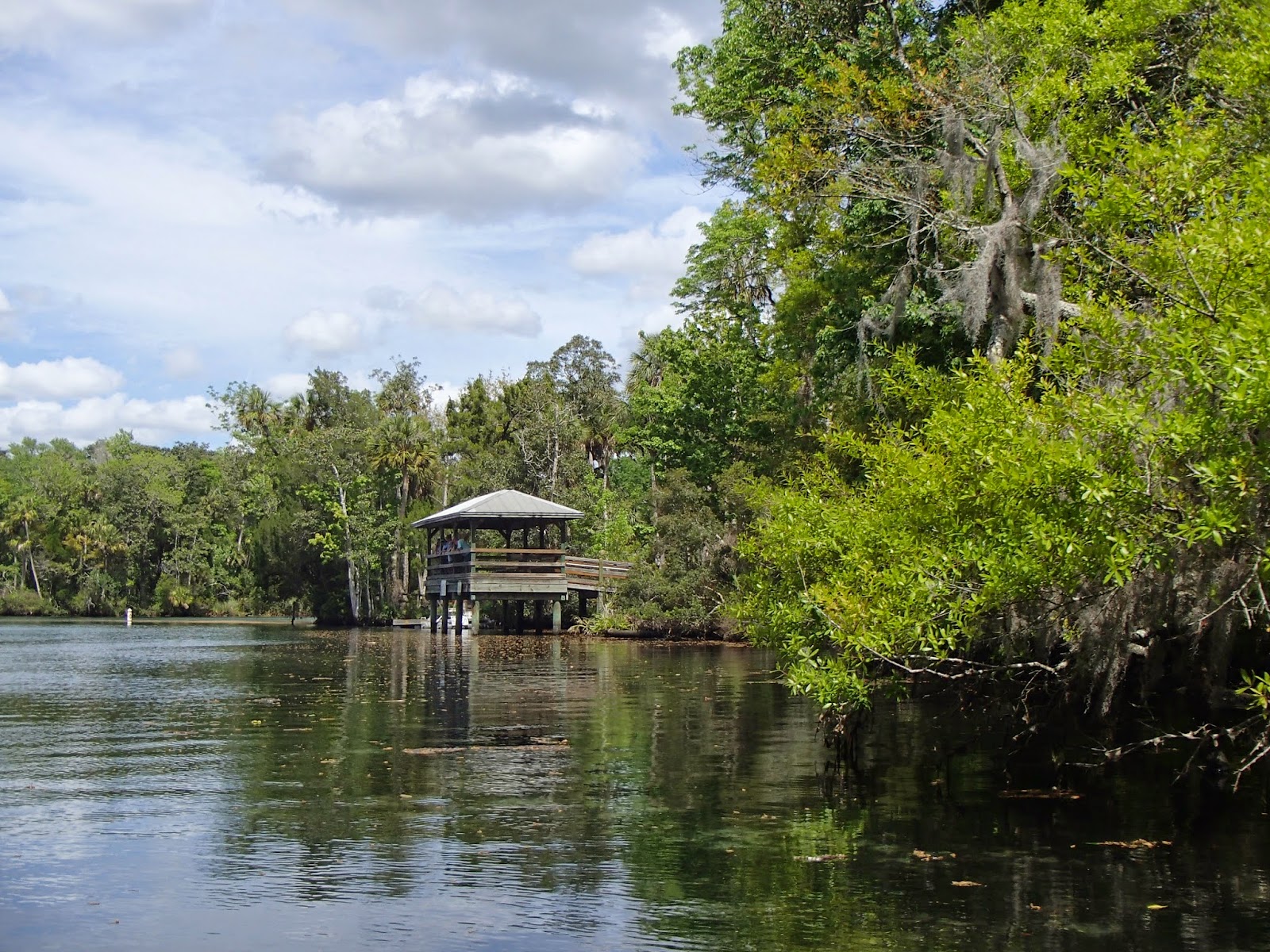 manatee viewing platform