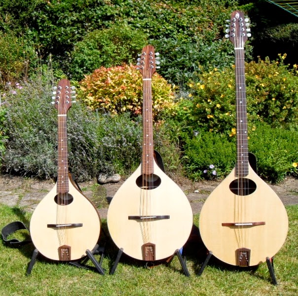 Nava Luthier