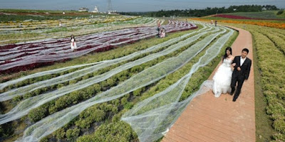 Lima Pernikahan Tak Biasa Paling Unik di Dunia Lima Pernikahan Tak Biasa Paling Unik di Dunia