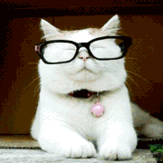 cats-eye-glasses-gif.gif