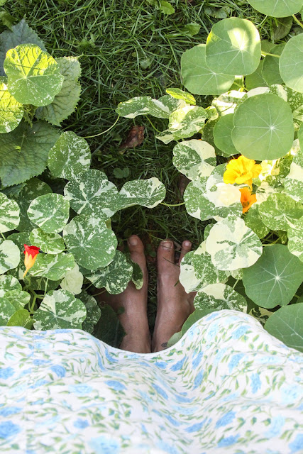summer, savor summer, barefoot, nasturtiums, cucumbers, vintage apron, Anne Butera, My Giant Strawberry