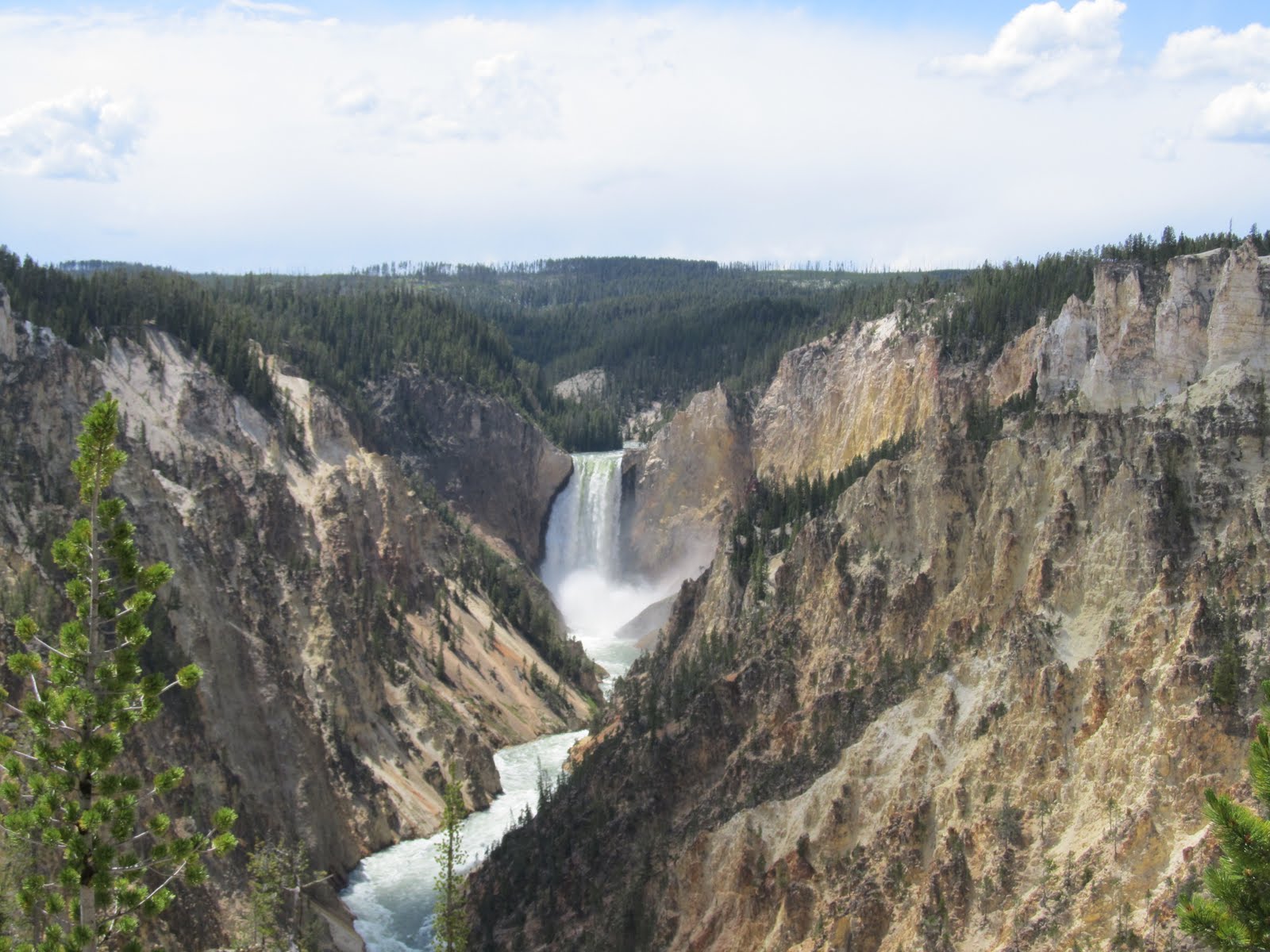 The Age of Intuition Yellowstone in July