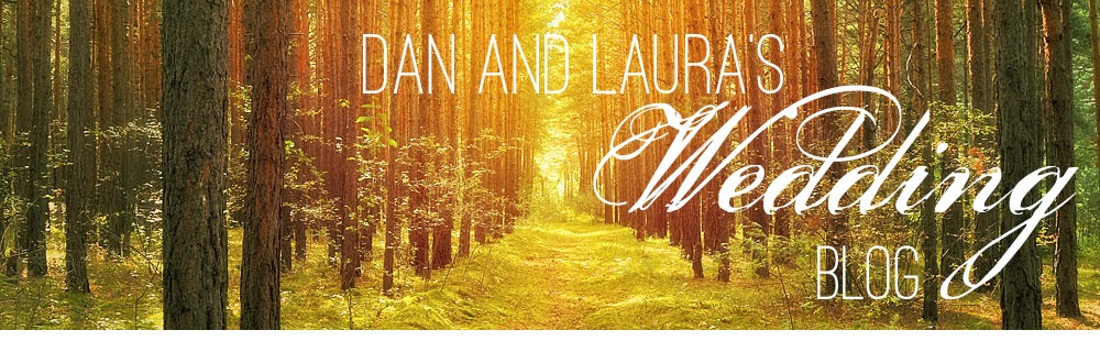 Dan and Laura’s Wedding Blog