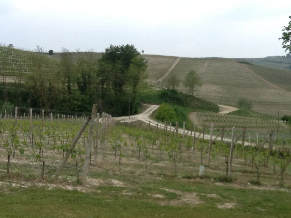 Terroir Barolo Bofani