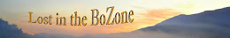 Lost in the BoZone