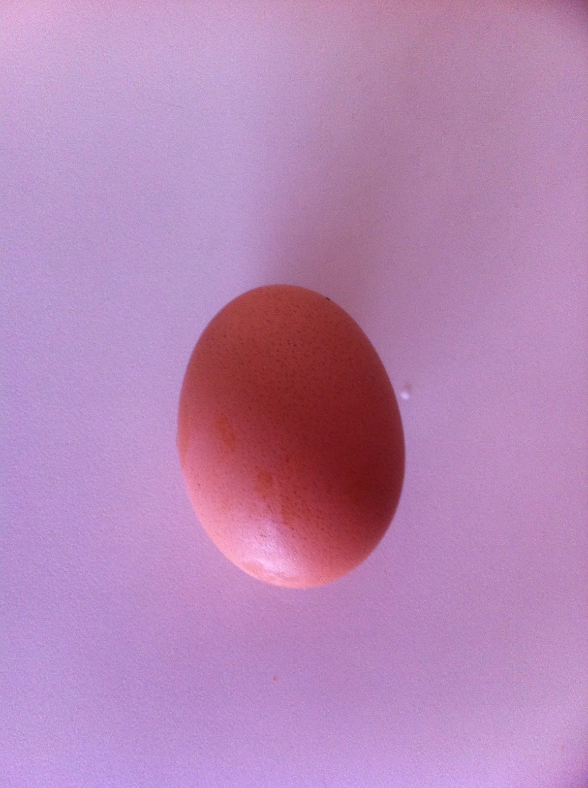 silky chicken eggs