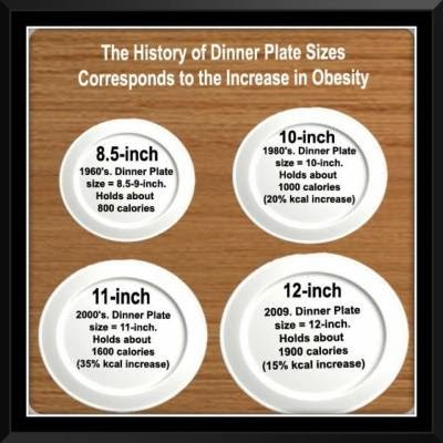 dr lindsays blog what size is your dinner plate dinner plate size