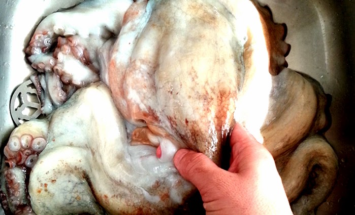 Ahtapot Nasıl Temizlenir MAVİYE TUTKUN