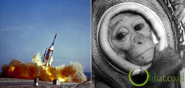 Miss Sam dari Amerika Serikat Miss Sam dari Amerika Serikat