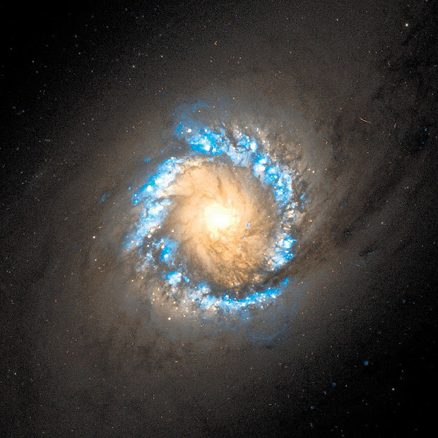 Ring of Star Formation around NGC 1097 Central Black Hole