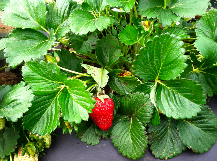 301 Moved Permanently