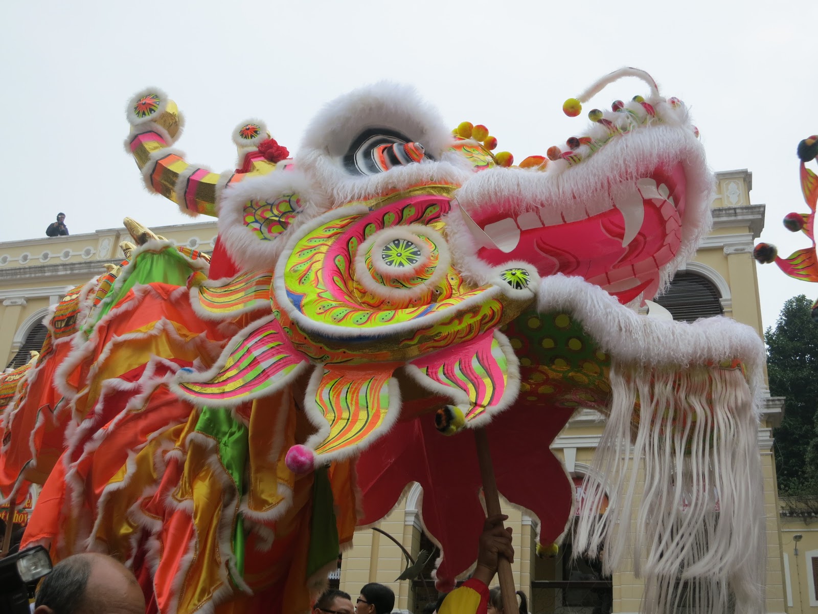 Year of the Lotus Chinese New Year