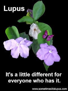 Image, Purple flowers. Text: Lupus: it's a little different for everyone who has it.