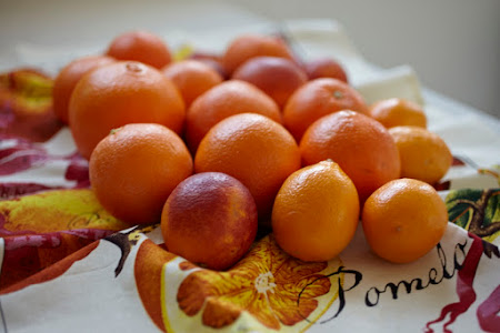 Marmalade Tart Citrus Cake. a recipe from Big Sur Bakery Cookbook 