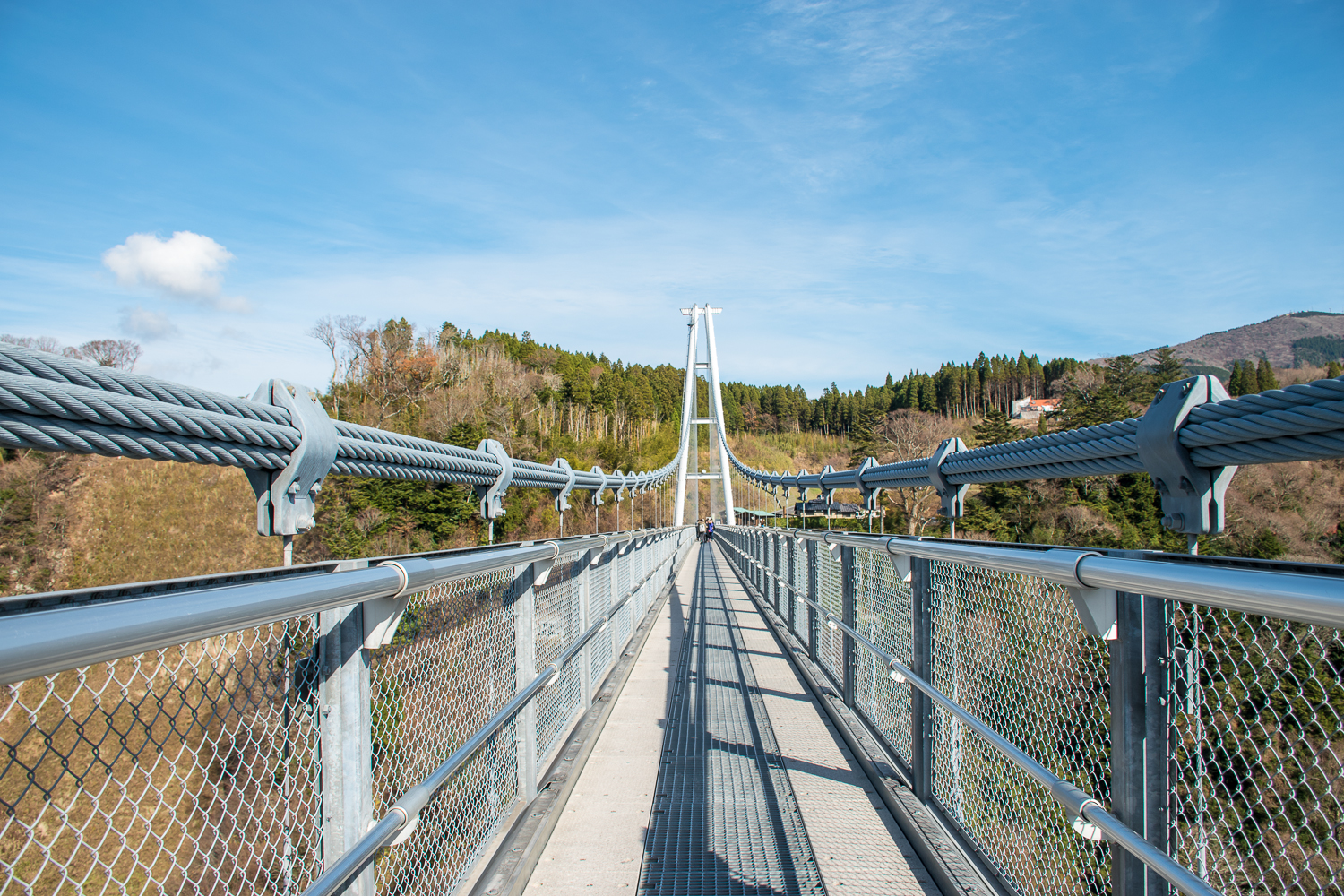 reinforcements of a suspension bridge Suspension bridge architecture and engineering details in japan