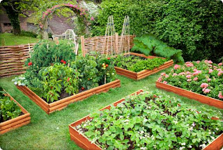 Садово-огородная магия: заговоры и советы для вашего урожая (чсть 1)