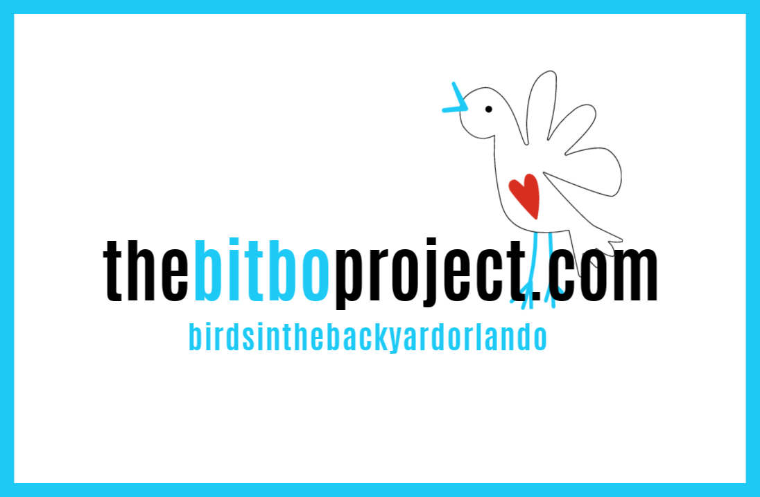 the BITBO project