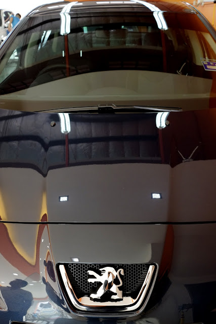 _DSF5477.JPG