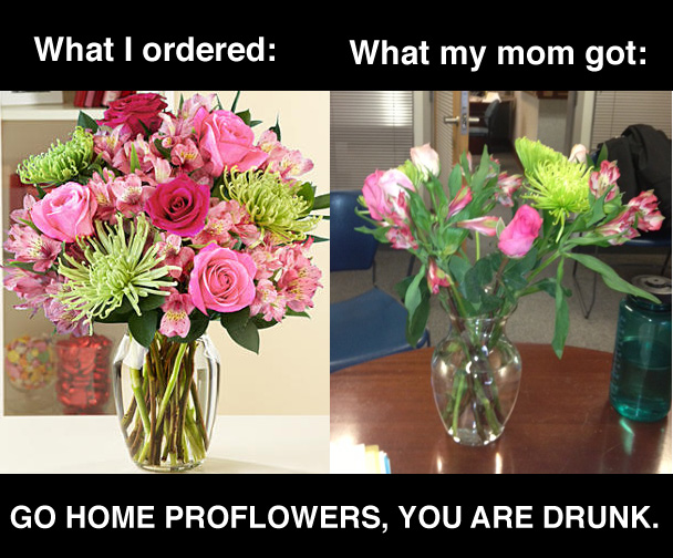 LOLAPALOOZA Proflowers fail