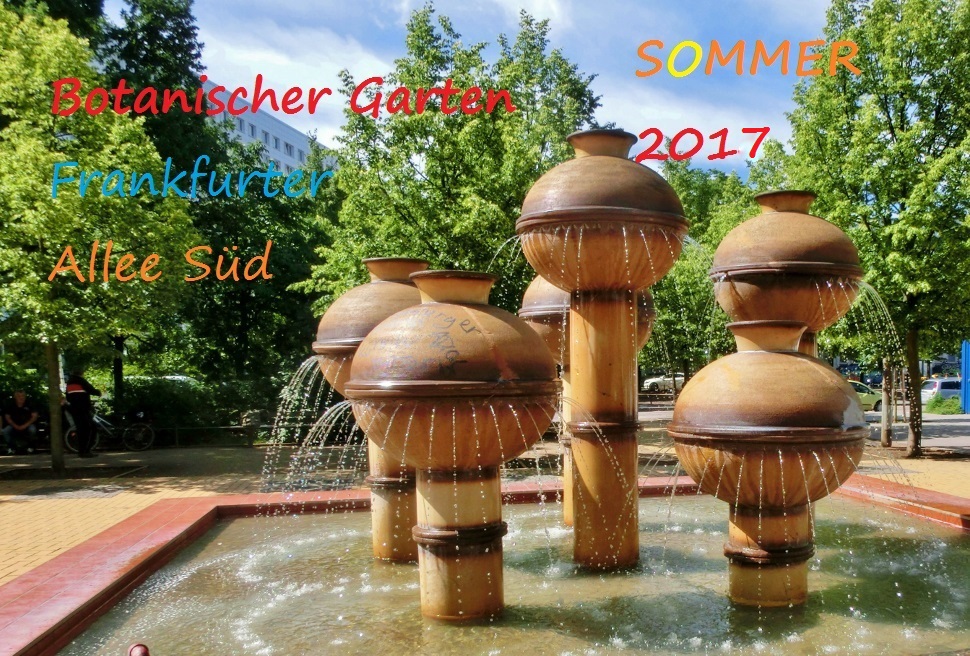 BGFAS Botanischer Garten Berlin-Lichtenberg Frankfurter Allee Süd (FAS)