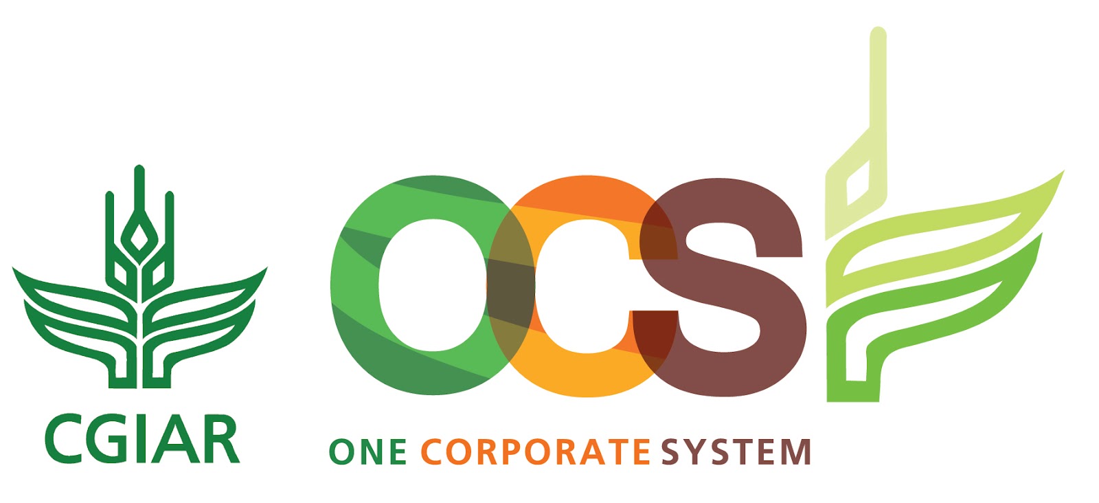 IRRI News New system to support IRRI staff nears implementation