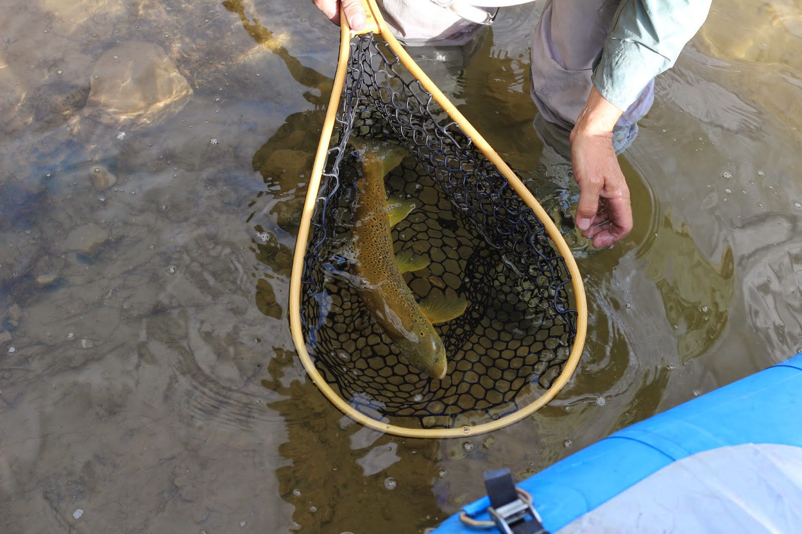 Fly+Fish+the+Green+River+A+section+with+Jay+Scott+Outdoors+during+the+Cicada+Hatch+June+2014+8.JPG