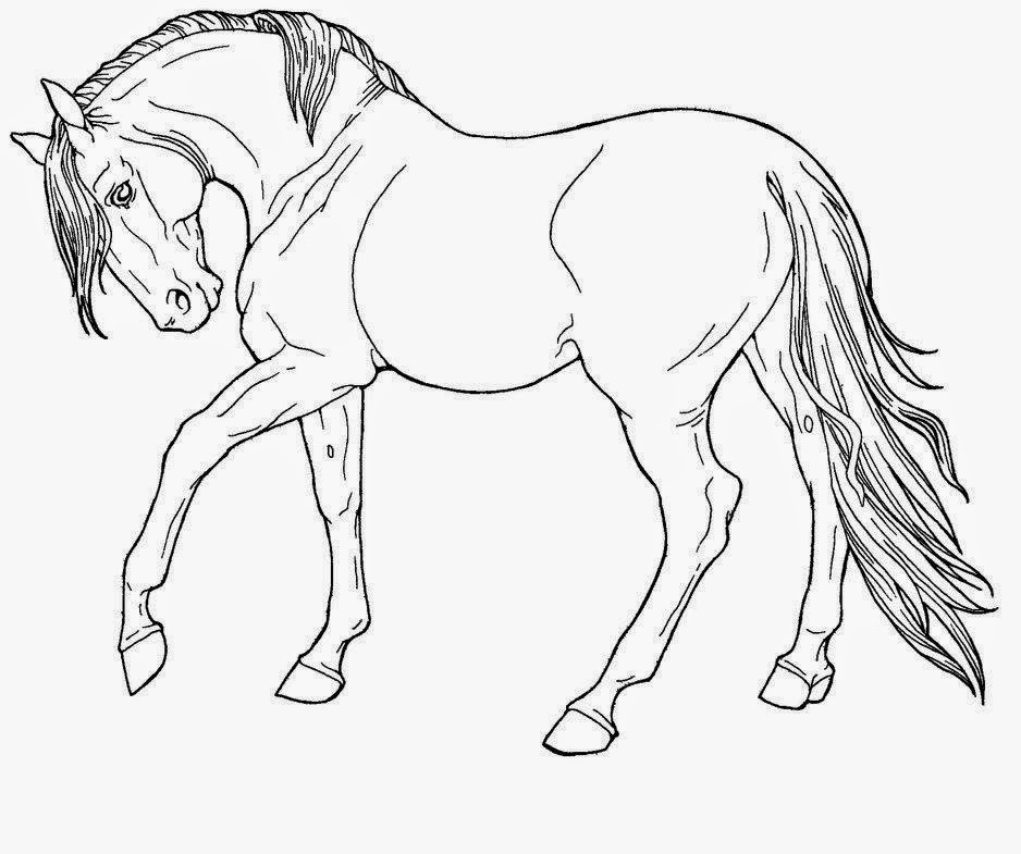 Horse For Kid Coloring Drawing Free wallpaper