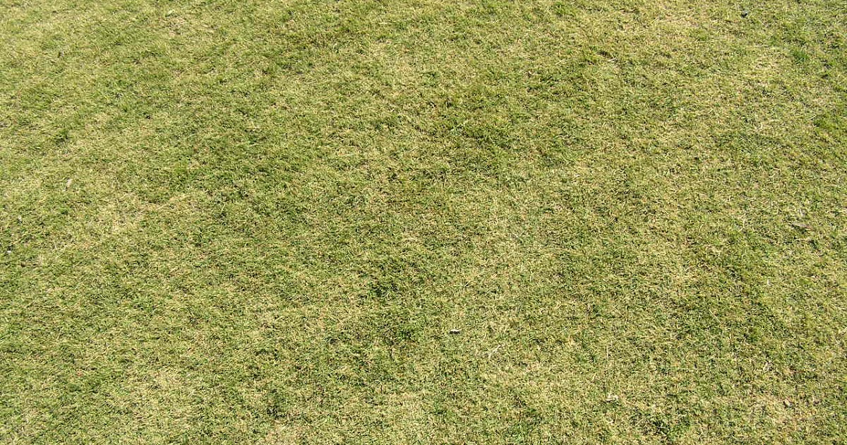 Clases de Photoshop: CESPED