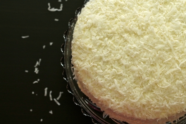 Coconut Layer Cake With Coconut Chocolate Frosting Coconut Layer Cake With Coconut Chocolate Frosting