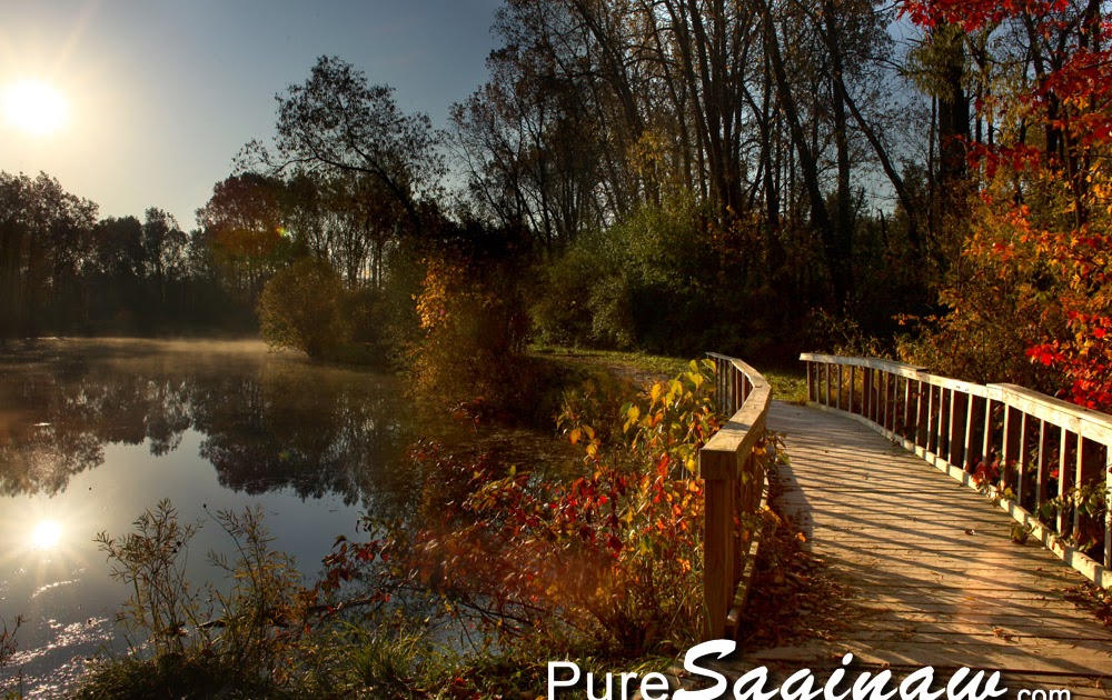 Pure Saginaw: My Favorite Park