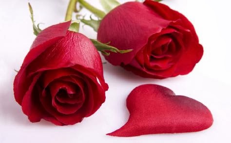 ماذا تقول هذه الزهور عن علاقتك بمن تحب ؟ Love-You-roses flowers romance-Wallpaper - ماذا تقول هذه الزهور عن علاقتك بمن تحب - ورد ورود احمر حمراء رومانسية حب